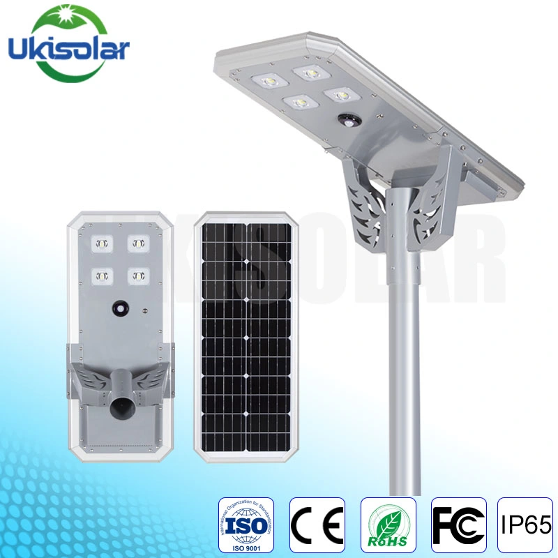 Ukisolar Evergreeno Maintenance Free All in One 30W Outdoor Light Solar LED Street Lighting Light