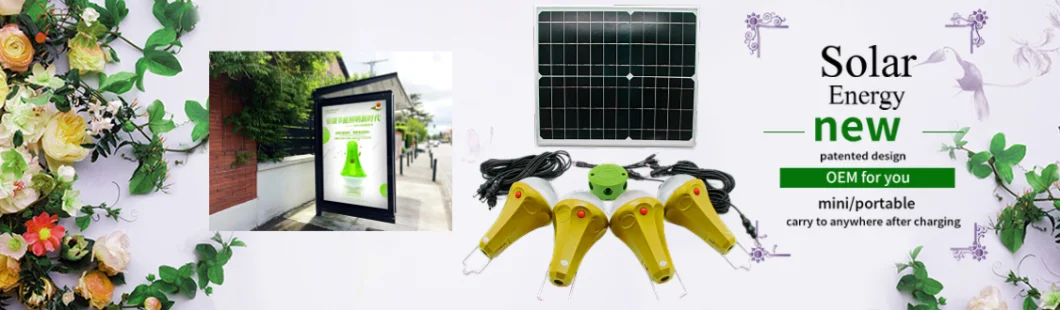 Solar Indoor Home Lighting Systems 15W 30W Solar Lighting Kit with 3LED Sre-88g-3