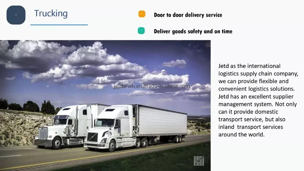 Ocean Freight/Ocean Shipment/Ocean Shipping From China to Charlotte, North Carolina